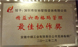 精益六西格玛管理最佳协作奖