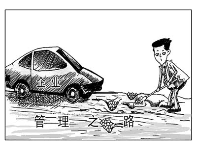 6西格玛,6sigma,企业实行