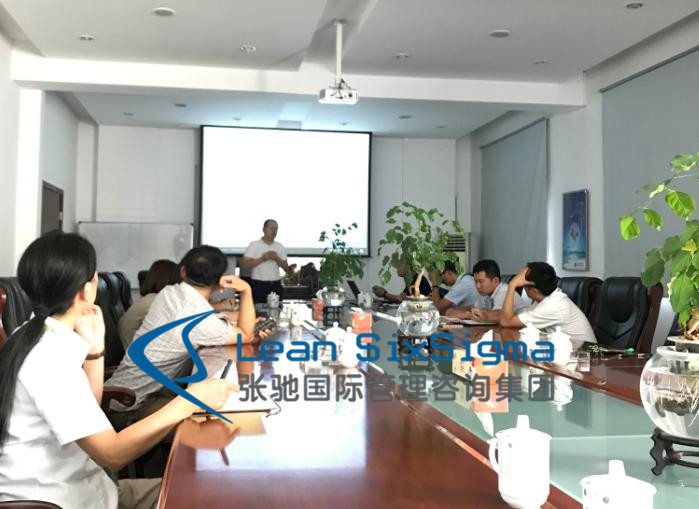 六西格玛项目