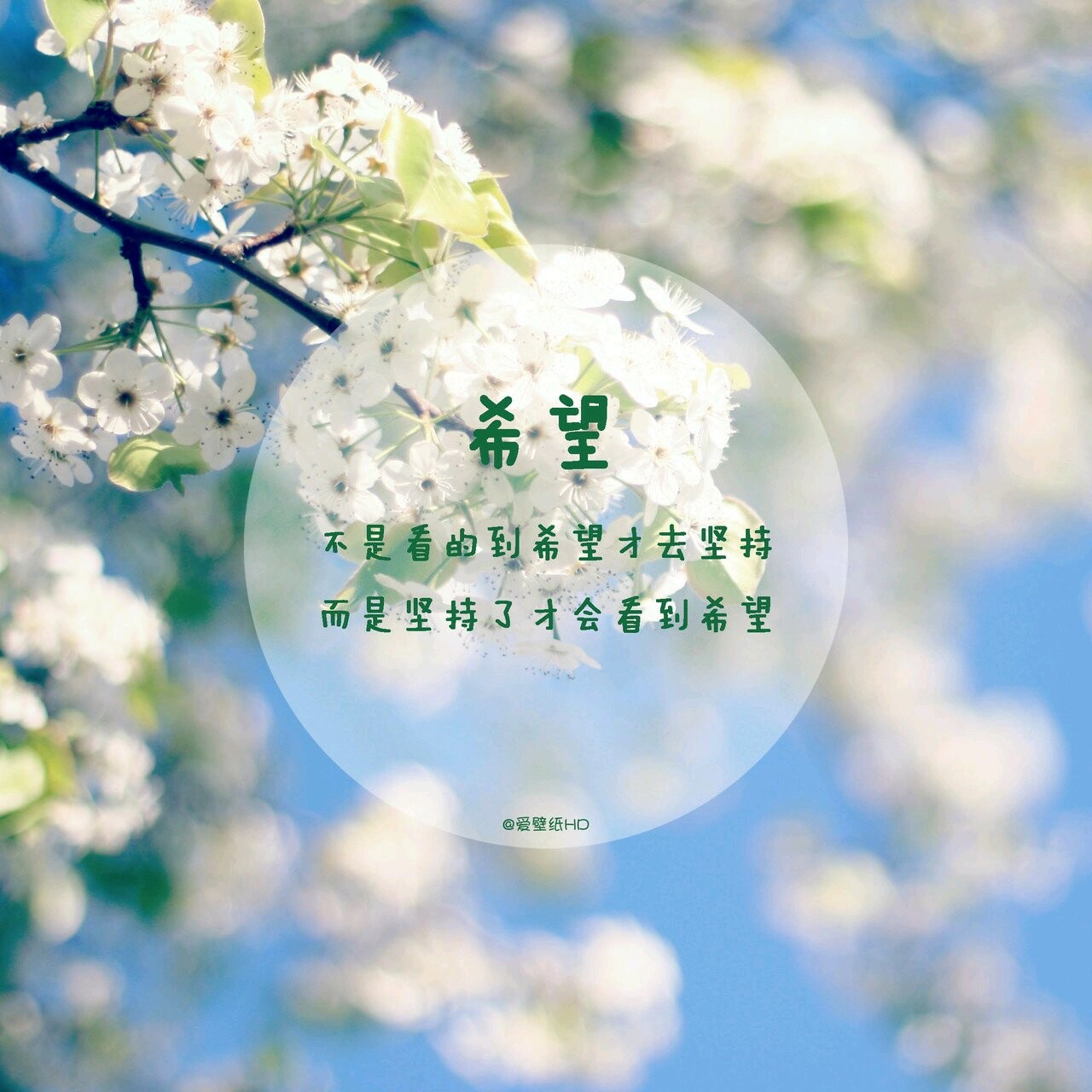 六西格玛（6sigma）管理项目如何选择流程和要点？