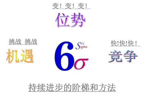 六西格玛,过程