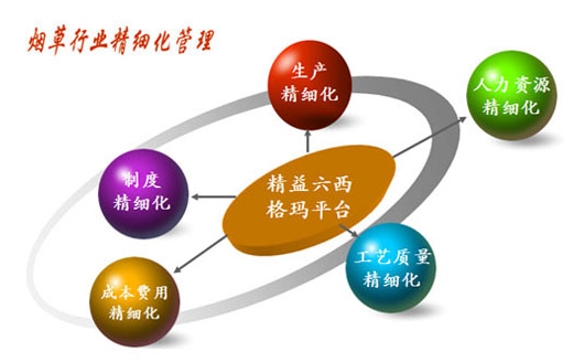 六西格玛,特点,项目