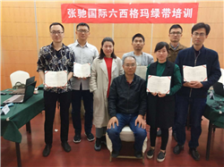 六西格玛绿带培训