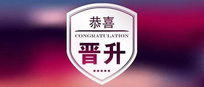 精益六西格玛带级