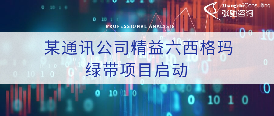 精益六西格玛绿带项目