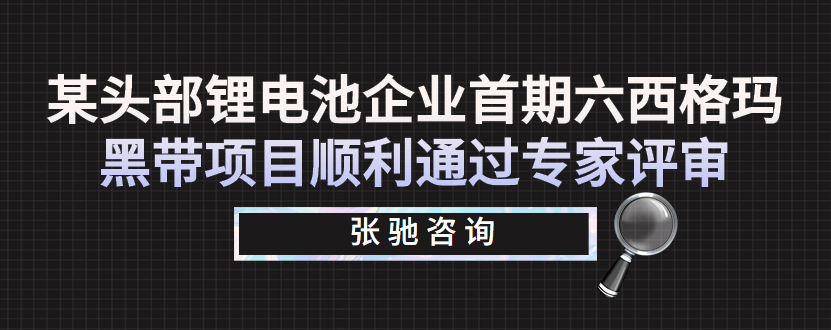 六西格玛黑带项目