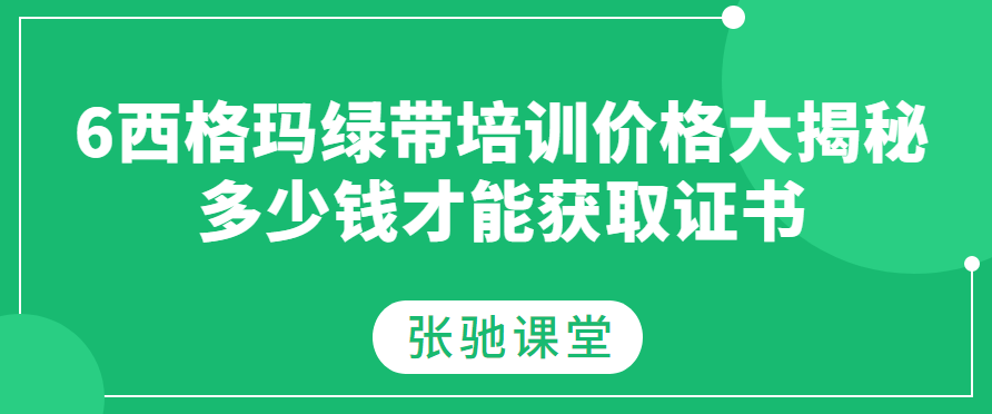 6西格玛绿带培训